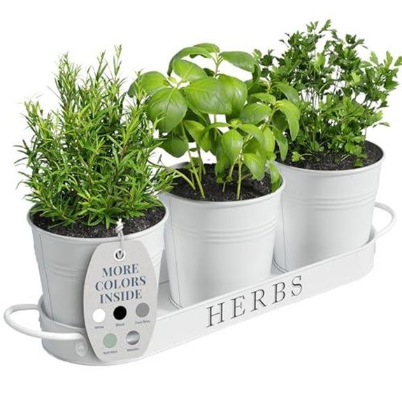 15 Best Herbs for Container Gardening in 2027 10 indoor herb planter set white