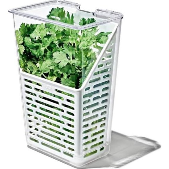 15 Best Herbs for Container Gardening in 2027 3 oxo herb keeper for produce