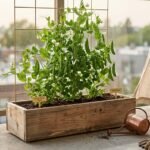 top container vegetable varieties 2027