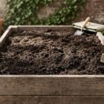 top rated raised bed soils 2027